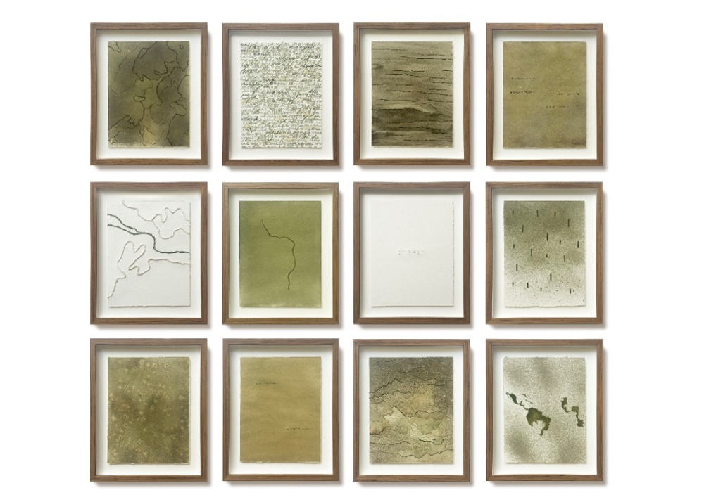 3_ffroes_mangrove_paper